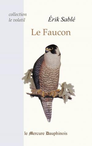 Cover of the book Le Faucon by Patrick Burensteinas