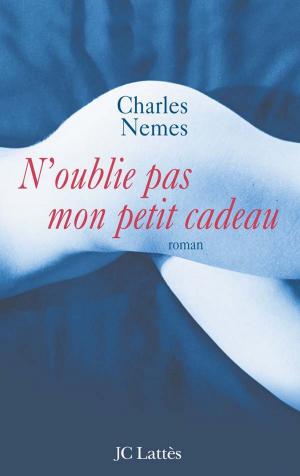 Cover of the book N'oublie pas mon petit cadeau by Jean-François Parot