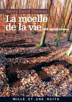 Cover of the book La Moelle de la vie by Robert Badinter