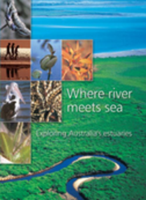 Cover of the book Where River Meets Sea by , CSIRO PUBLISHING