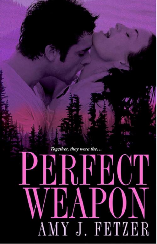 Cover of the book Perfect Weapon by Amy J. Fetzer, Kensington Books