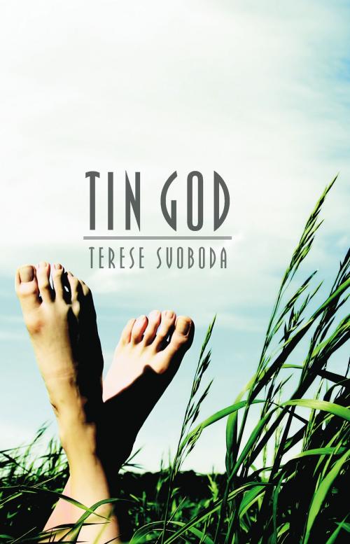 Cover of the book Tin God by Terese Svoboda, UNP - Nebraska