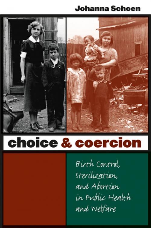 Cover of the book Choice and Coercion by Johanna Schoen, The University of North Carolina Press