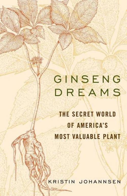 Cover of the book Ginseng Dreams by Kristin Johannsen, The University Press of Kentucky