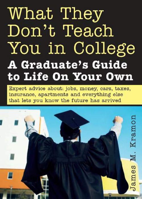Cover of the book What They Don't Teach You in College by James Kramon, Sourcebooks