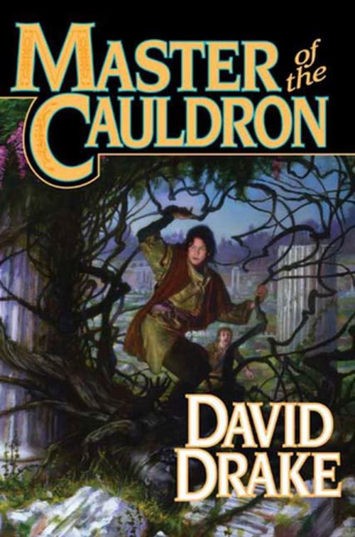 Cover of the book Master of the Cauldron by David Drake, Tom Doherty Associates