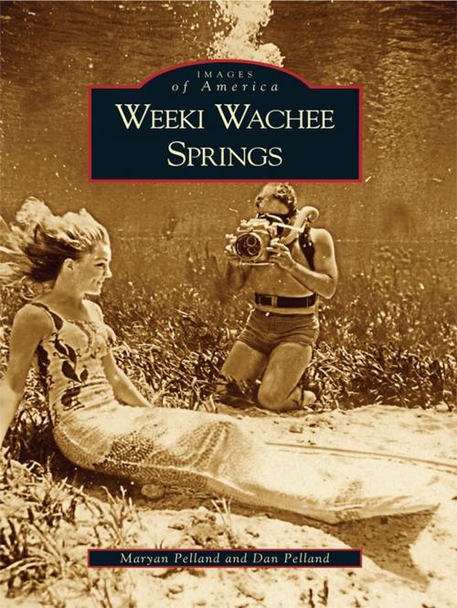Cover of the book Weeki Wachee Springs by Maryan Pelland, Dan Pelland, Arcadia Publishing Inc.