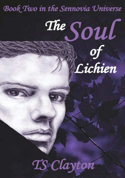 Cover of the book The Soul of Lichien by T. S. Clayton, Xlibris US