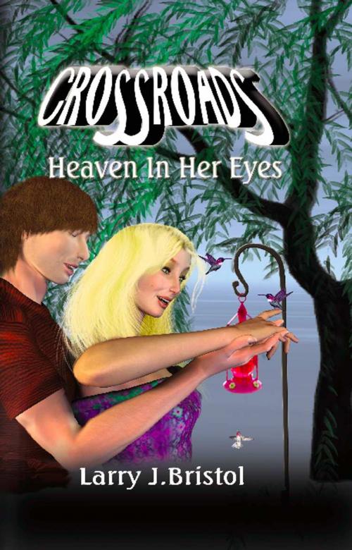 Cover of the book Crossroads: Heaven In Her Eyes by Larry J. Bristol, BookLocker.com, Inc.