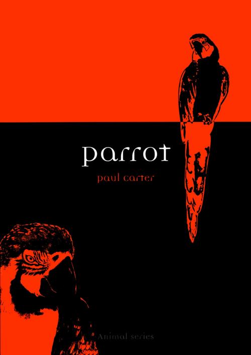 Cover of the book Parrot by Paul Carter, Reaktion Books