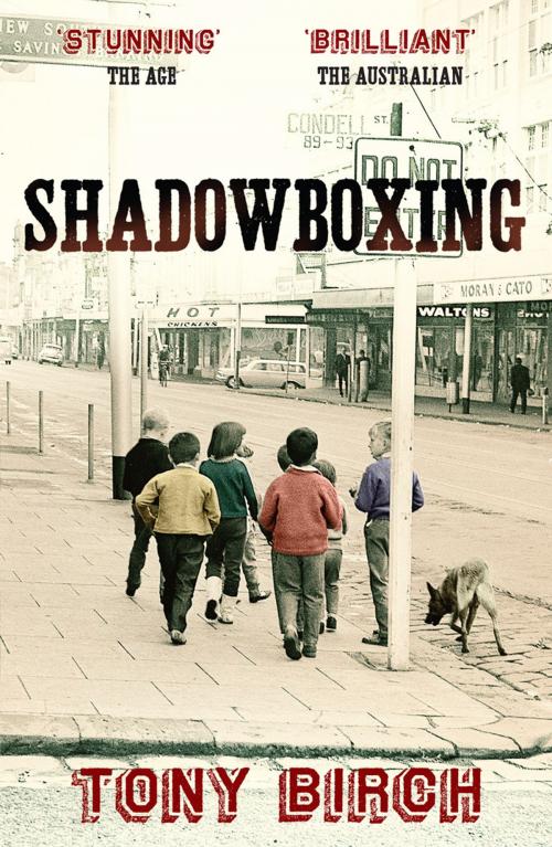 Cover of the book Shadowboxing by Tony Birch, Scribe Publications Pty Ltd