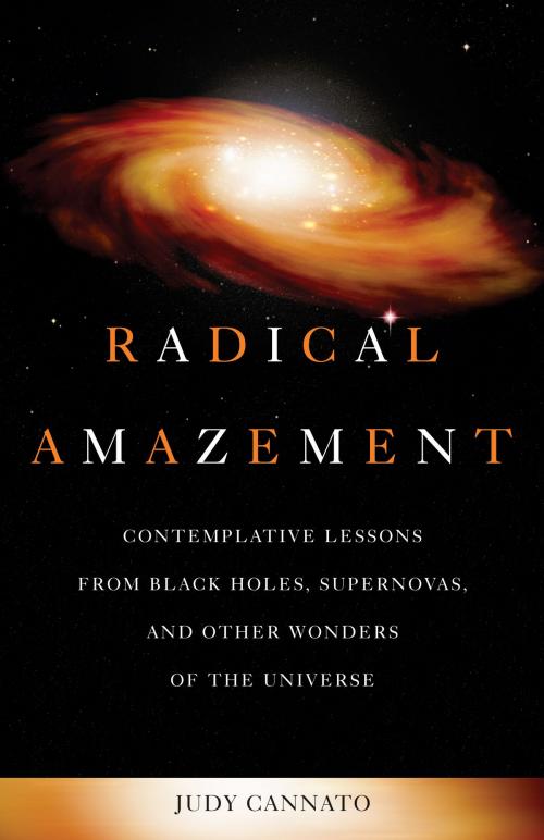 Cover of the book Radical Amazement by Judy Cannato, Ave Maria Press