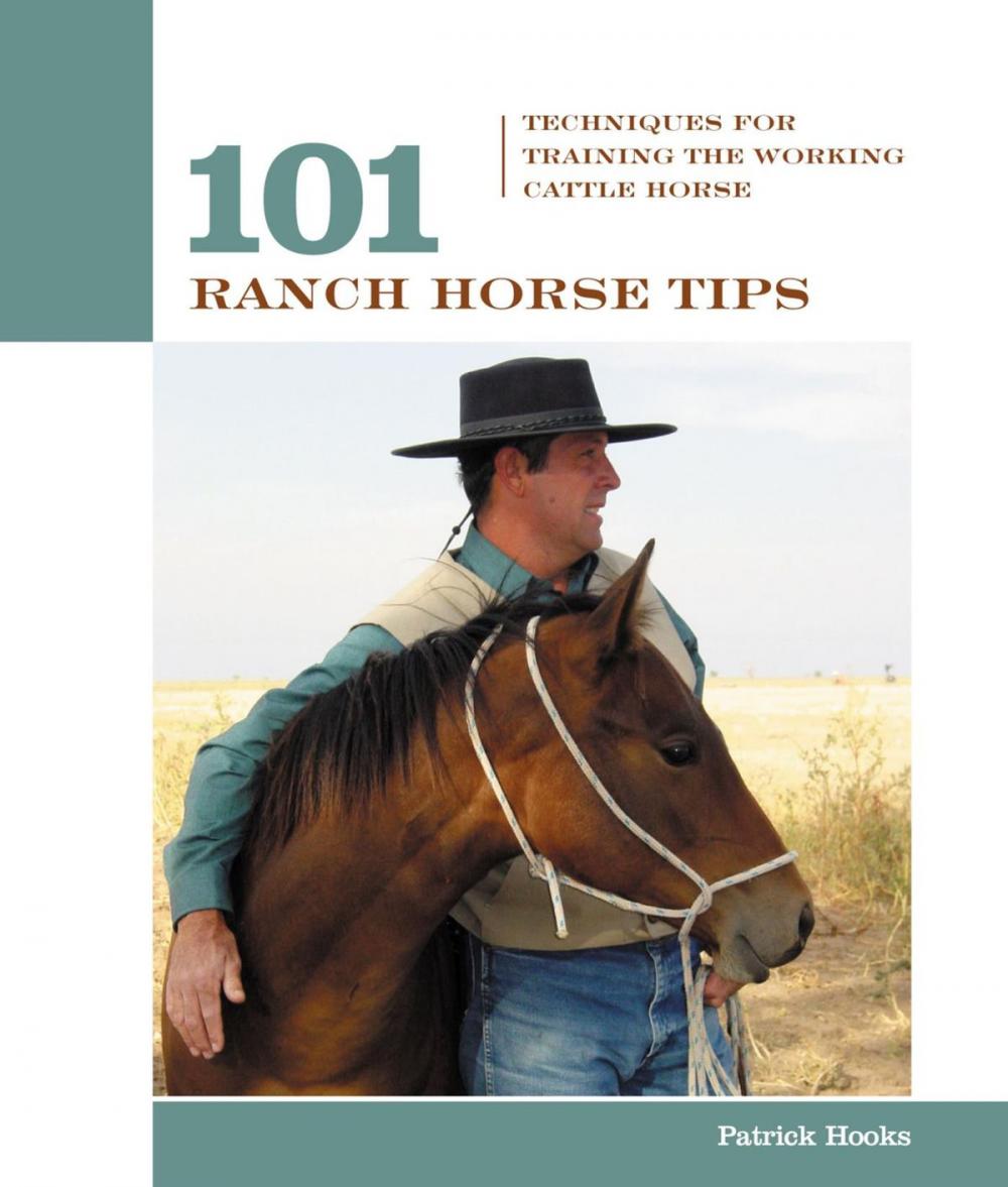 Big bigCover of 101 Ranch Horse Tips