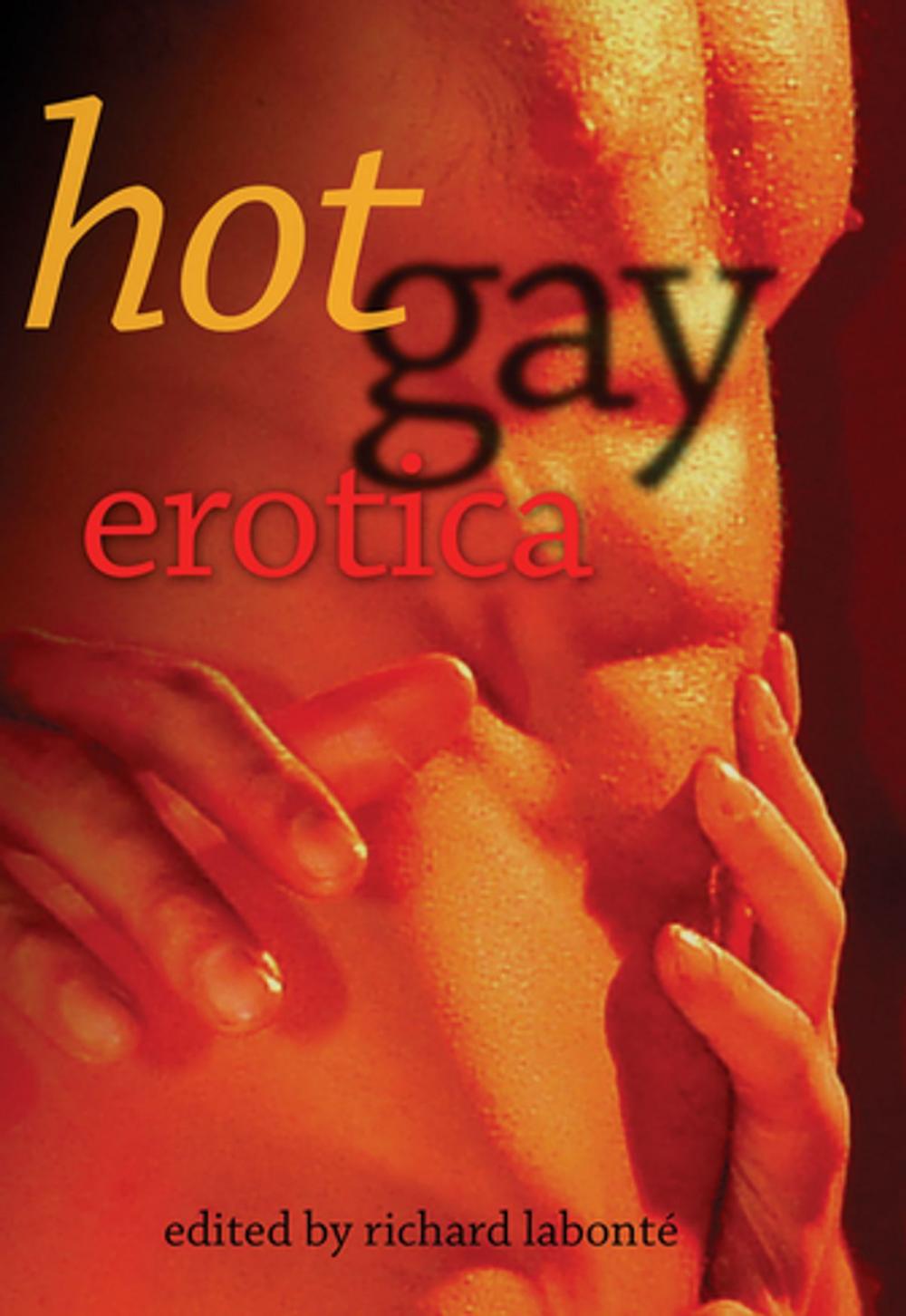 Big bigCover of Hot Gay Erotica