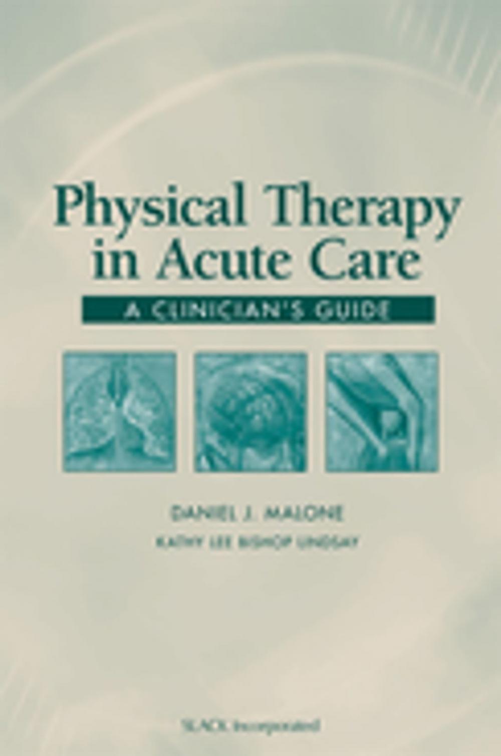 Big bigCover of Physical Therapy in Acute Care