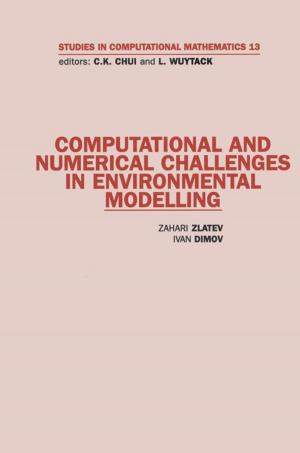 Book cover of Computational and Numerical Challenges in Environmental Modelling