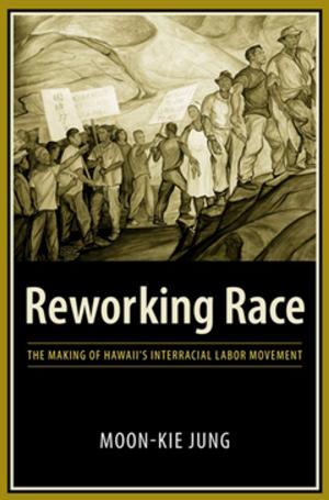 Cover of the book Reworking Race by Anirudh Krishna