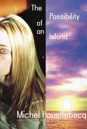 Cover of the book The Possibility of an Island by Jonathan Lethem