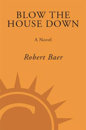 Cover of the book Blow the House Down by RJ Crayton