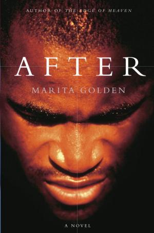 Cover of the book After by William Hague