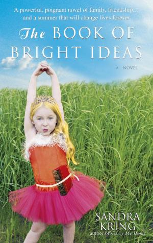Cover of the book The Book of Bright Ideas by Rupert Holmes