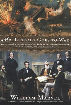 Cover of the book Mr. Lincoln Goes to War by Antonio Muñoz Molina