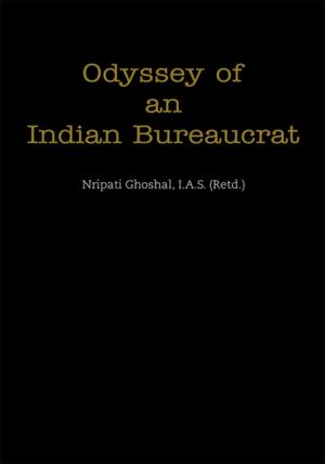 Cover of the book Odyssey of an Indian Bureaucrat by Hall Groat Sr.