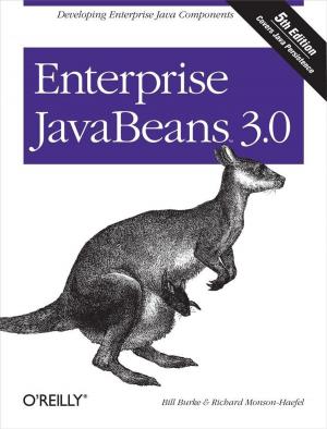 Book cover of Enterprise JavaBeans 3.0