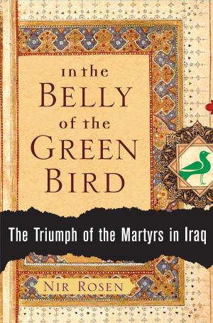 Cover of the book In the Belly of the Green Bird by Chris McChesney, Sean Covey, Jim Huling