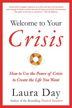 Cover of the book Welcome to Your Crisis by B. K. Tomlinson