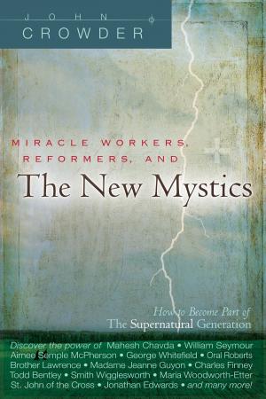 Book cover of Miracle Workers, Reformers, and the New Mystics