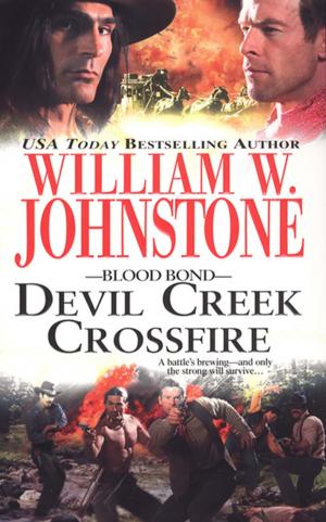 Book cover of Devil Creek Crossfire