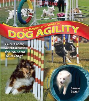 bigCover of the book The Beginner's Guide to Dog Agility by 