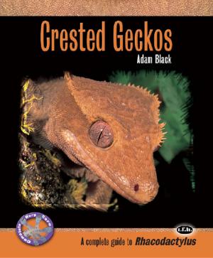 Cover of the book Crested Geckos by Terry Anne Barber
