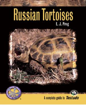 Cover of the book Russian Tortoises by Janice Biniok