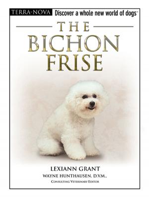 Cover of the book The Bichon Frise by Sandy Bergstrom Mesmer