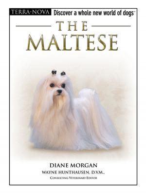 Cover of the book The Maltese by Debra M. Eldredge, DVM
