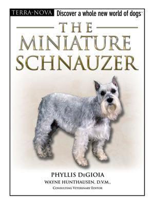 Cover of the book The Miniature Schnauzer by Rebecca K. O'Connor