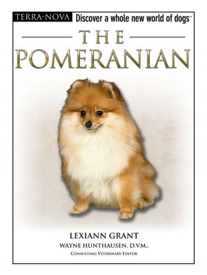 Cover of the book The Pomeranian by Sandy Bergstrom Mesmer