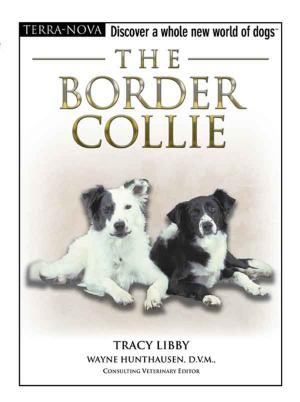 Cover of the book The Border Collie by Sandy Bergstrom Mesmer