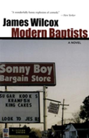 Cover of the book Modern Baptists by Richard Anthony Lewis