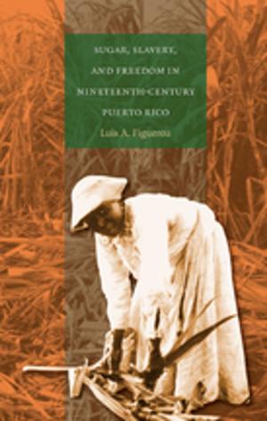 Book cover of Sugar, Slavery, and Freedom in Nineteenth-Century Puerto Rico