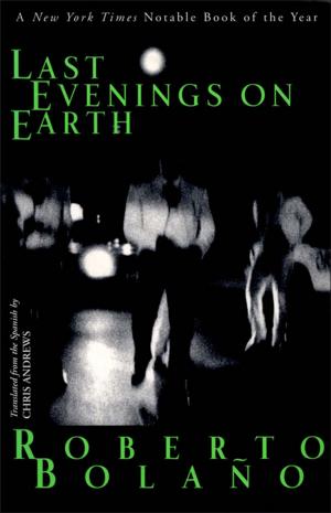 Cover of the book Last Evenings on Earth by William Carlos Williams