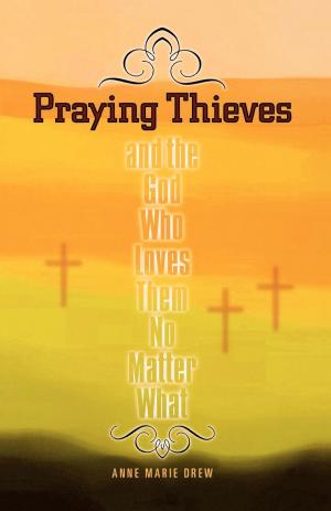 Cover of the book Praying Thieves and the God Who Loves Them No Matter What by Cyril Okorocha, Richard Kew