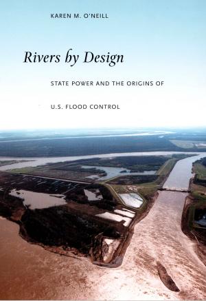 Cover of the book Rivers by Design by Magdalena J. Zaborowska