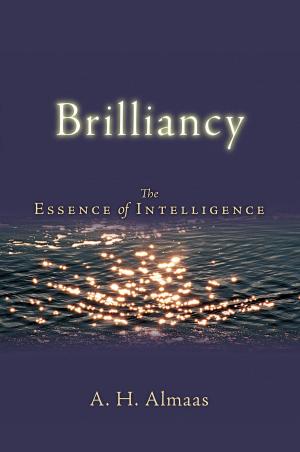 Book cover of Brilliancy