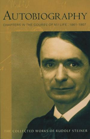 Cover of the book Autobiography by David Ovason