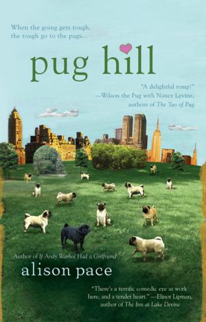 Cover of the book Pug Hill by David B. Feinberg, Tony Kushner