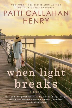 Cover of the book When Light Breaks by Elizabeth Wissner-Gross