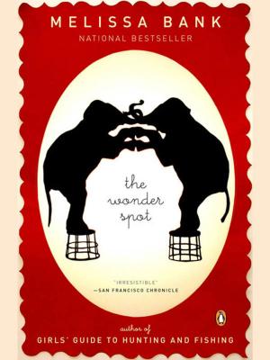 Book cover of The Wonder Spot